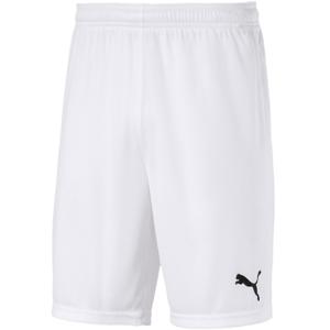 Шорти Puma teamGOAL 23 knit Shorts білий Чол
